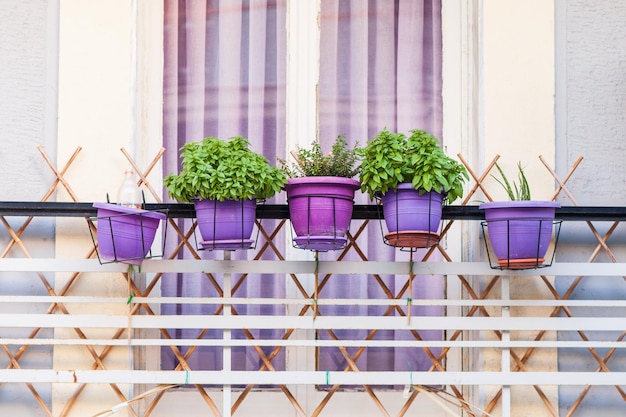 Doniczka na balkon – praktyczne wybory i style