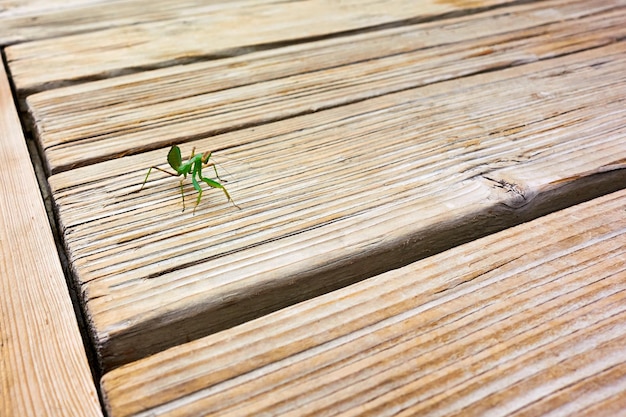 Blat drewniany Ikea – trwałość i naturalny design