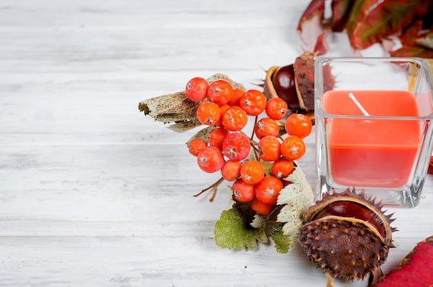 Berberys Orange Ice świeżość z natury w domu